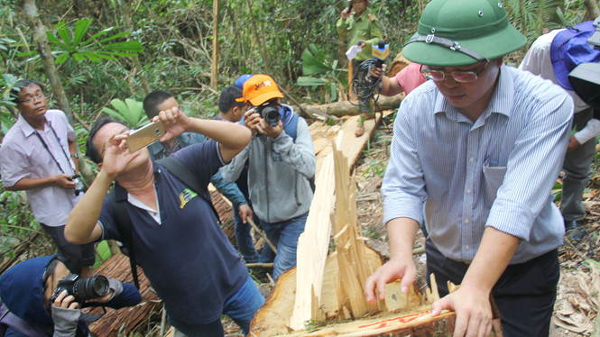 [-]Vụ[-]phá[-]rừng[-]Pơmu:[-]Cục[-]Kiểm[-]lâm[-]vào[-]cuộc,[-]Biên[-]phòng[-]bị[-]truy[-]trách[-]nhiệm